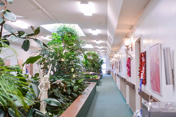 Gardens indoor hall with garden