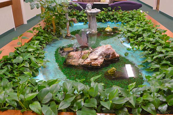 Gardens indoor close up view of water feature