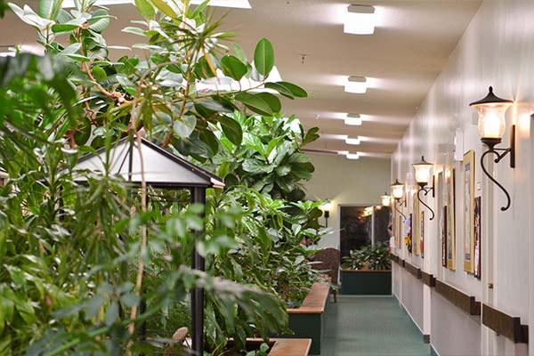 Gardens indoor view of hall right side