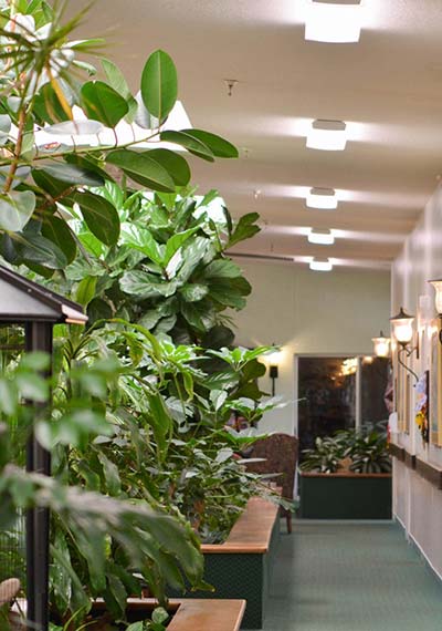Gardens indoor hallway